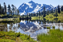 Mount Shuksan, North Cascades NP