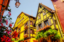 Riquewihr, Alsace, France