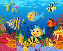 Funny Fish