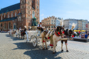 Horse Carriages in Krakow, Poland