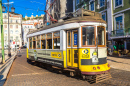 Vintage Tram in Lisbon, Portugal