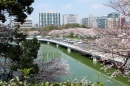 Chidorigafuchi, Tokyo