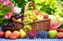 Fruit Basket in the Garden