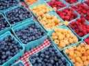 Colorful Berries