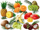 Tropical Fruits