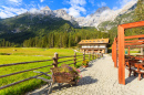 Fiscalina Valley, South Tyrol, Italy