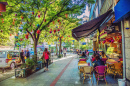 Street Cafe in Istanbul, Turkey