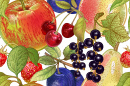 Fresh Fruits and Berries