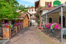 Town of Barolo, Piedmont, Italy