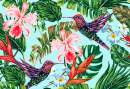 Tropical Birds