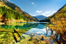 The Arrow Bamboo Lake, China