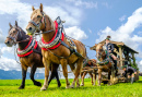 Parade in Gaissach, Germany