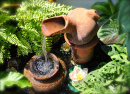 Fountain in the Garden