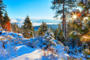 Sierra Nevada Winter Landscape