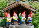 Garden Gnomes