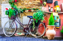 Floral Bike Decoration