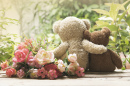 Teddy Bear Couple