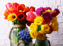 Flowers in Vases