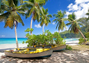 Takamaka Beach, Mahe Island, Seychelles