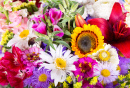 Bouquet of Summer Flowers