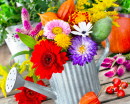 Flowers and Watering Can