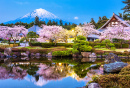 Fujinomiya, Japan with Mt. Fuji