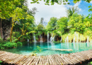 Plitvice National Park, Croatia