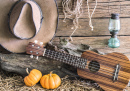 Ranch Still Life