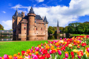 Castle de Haar and Blooming Tulips, Holland