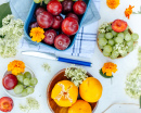 Still Life of Many Fruits