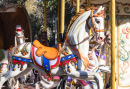 Carousel Horses