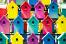 Colorful Birdhouses