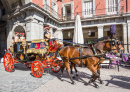 Ceremonial Parade in Madrid, Spain