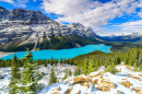 Peyto Lake, Canada