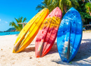 Kayaks on a Tropical Sandy Beach