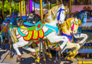 Merry-Go-Round Horses