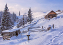 Carpathian National Park, West Ukraine