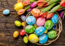 Easter Eggs and Tulips