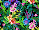 Tropical Pattern