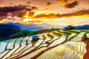 Rice Terraces in Chiangmai, Thailand