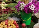 Madison Farmer's Market