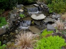 SeaTac Botanical Garden