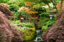 Japanese Garden