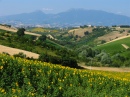 Campagna Marchigiana