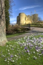 Tonbridge Castle, Kent