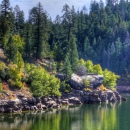 Coconino National Forest