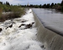 Idaho Falls and the Mormon Temple