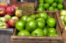 Local Farmer's Market