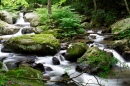 Keeny's Creek Waterfalls