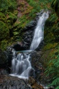 Uvas Canyon County Park